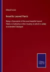 Beautiful Leaved Plants cover