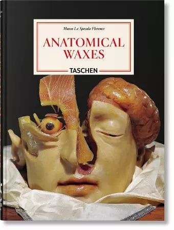 Anatomical Waxes. 45th Ed. cover