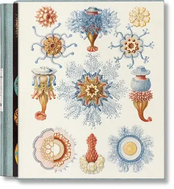 The Art and Science of Ernst Haeckel cover