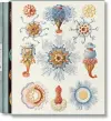 The Art and Science of Ernst Haeckel cover