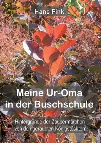 Meine Ur-Oma in der Buschschule cover