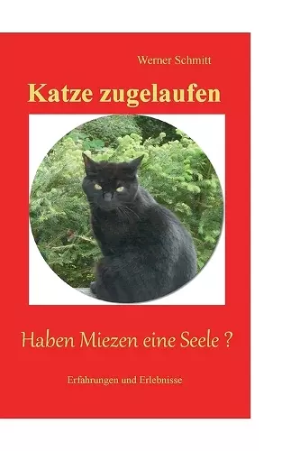 Katze zugelaufen cover