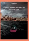 Die schizophrene Psychose entschlüsselt cover