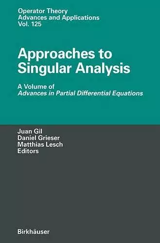 Approaches to Singular Analysis cover