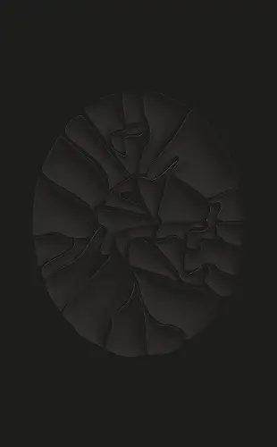 Haegue Yang cover