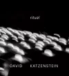 David Katzenstein cover