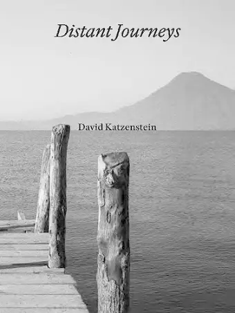 David Katzenstein cover