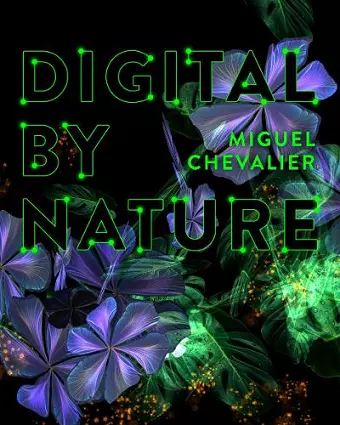 Miguel Chevalier cover