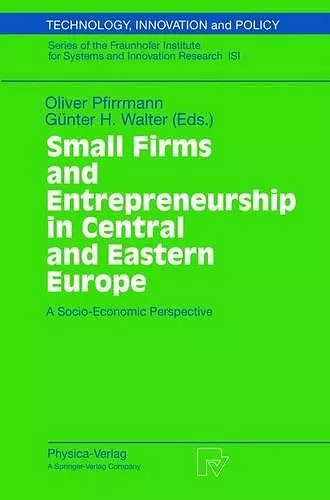 Small Firms and Entrepreneurship in Central and Eastern Europe cover