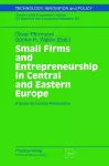 Small Firms and Entrepreneurship in Central and Eastern Europe cover