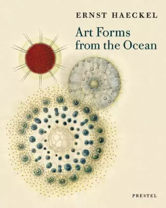 Art Forms from the Ocean cover
