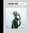 Permanent Error cover