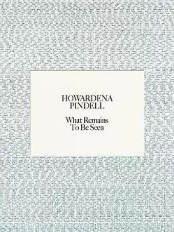 Howardena Pindell cover