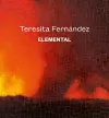 Teresita Fernández cover