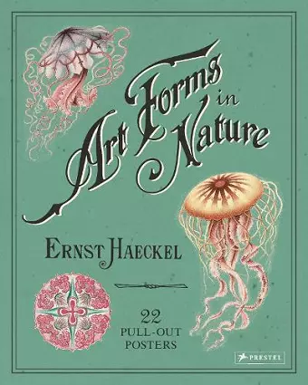 Ernst Haeckel: Art Forms in Nature: 22 Pull-Out Posters cover