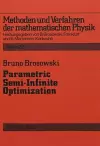 Parametric Semi-Infinite Optimization cover