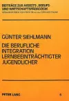 Die Berufliche Integration Lernbeeintraechtigter Jugendlicher cover