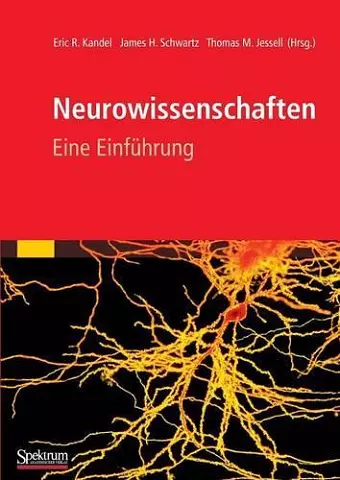 Neurowissenschaften cover