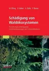 Schädigung von Waldökosystemen cover