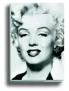 Silver Marilyn cover