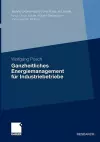 Ganzheitliches Energiemanagement für Industriebetriebe cover
