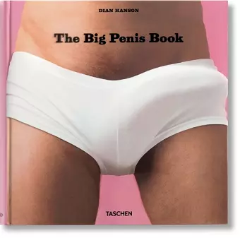 The Big Penis Book cover