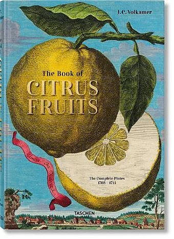 J. C. Volkamer. Citrus Fruits cover