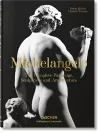 Michelangelo. The Complete Paintings, Sculptures and Architecture cover
