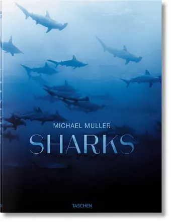 Michael Muller. Sharks cover