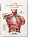 Bourgery. Atlas de anatomía humana y cirugía cover