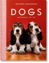 Walter Chandoha. Dogs. Photographs 1941–1991 cover