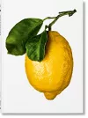 The Gourmand's Lemon. A Collection of Stories and Recipes cover
