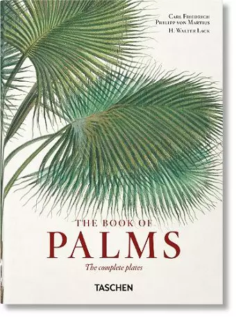 Martius. El libro de las palmeras. 45th Ed. cover