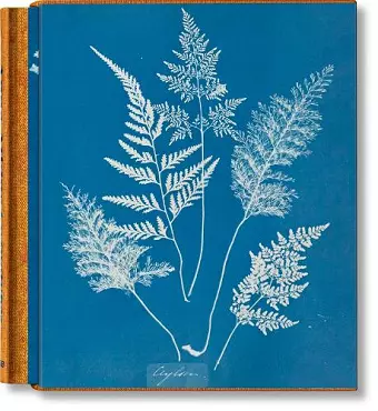 Anna Atkins. Cyanotypes cover