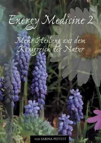 Energy Medicine 2 cover