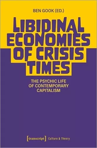 Libidinal Economies of Crisis Times cover