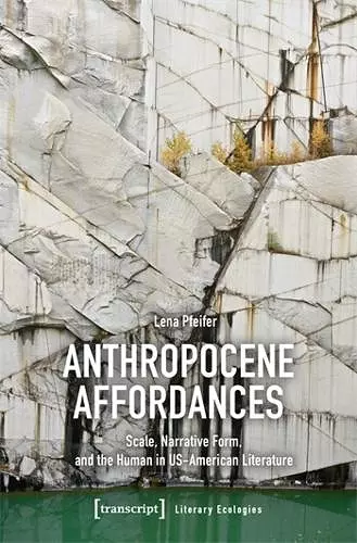 Anthropocene Affordances cover