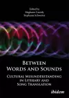 Beyond Words and Sounds. Cultural Misunderstanding in Literary and Song Translation cover