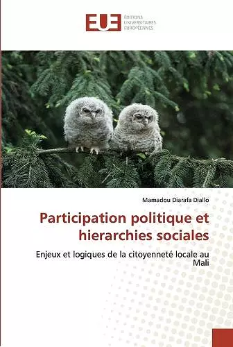 Participation politique et hierarchies sociales cover