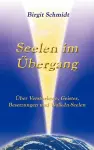 Seelen im Übergang cover