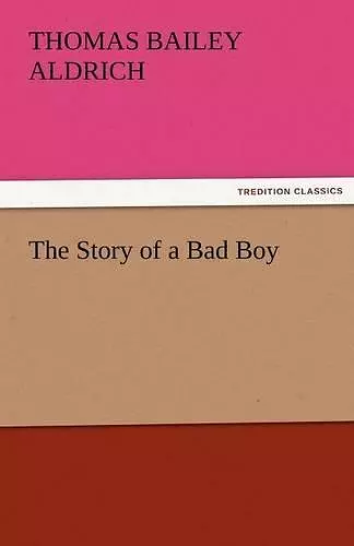 The Story of a Bad Boy cover