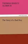 The Story of a Bad Boy cover