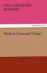 Birds in Town and Village cover