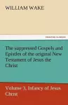 The Suppressed Gospels and Epistles of the Original New Testament of Jesus the Christ, Volume 3, Infancy of Jesus Christ cover