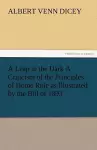 A Leap in the Dark a Criticism of the Principles of Home Rule as Illustrated by the Bill of 1893 cover