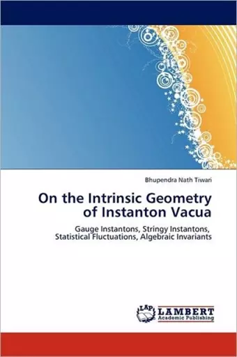 On the Intrinsic Geometry of Instanton Vacua cover