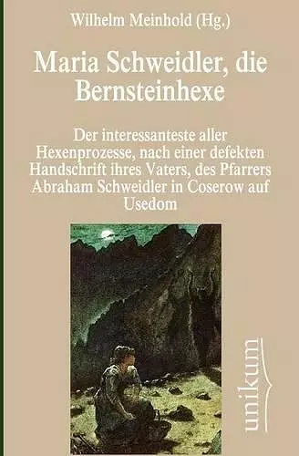 Maria Schweidler, die Bernsteinhexe cover