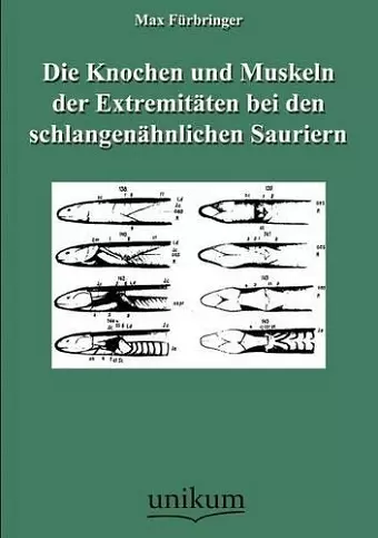 Die Knochen und Muskeln der Extremitäten bei den schlangenähnlichen Sauriern cover