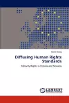 Diffusing Human Rights Standards cover