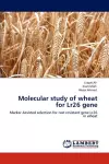 Molecular Study of Wheat for Lr26 Gene cover